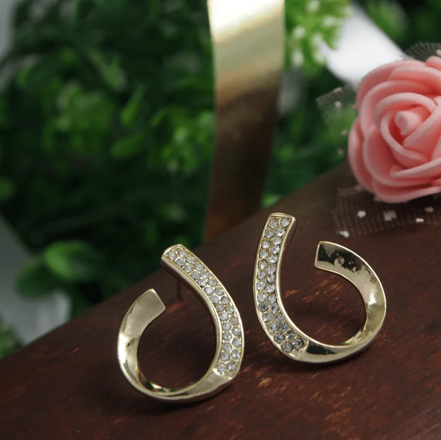 Korean Gold Plated Exist Hoop Earrings – CZ Horseshoe Hoops